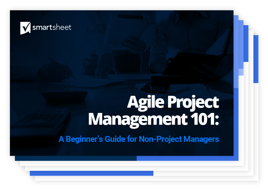 Agile PM ebook thumbnaiil